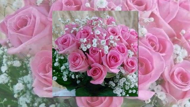 Поздравляю я тебя смотреть онлайн