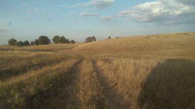 Дорога к исчезнувшему хутору Культура (Культгруппа), Ровенский район.