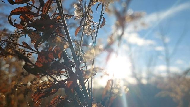 Солнце не знает правых. Солнце не знает неправых. Солнце светит без цели кого-то согреть.