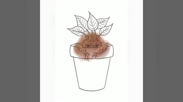 Peeking Mandrake~ Harry Potter fan art смотреть онлайн