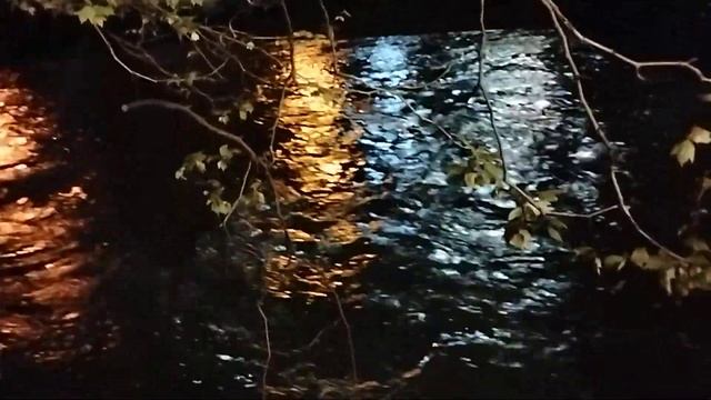 Вечером особенно красиво)) смотреть онлайн