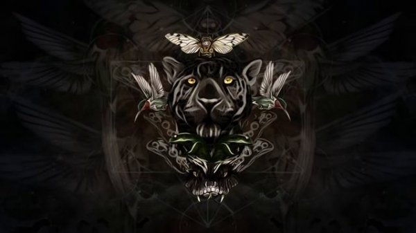 EddiBell - Medisin (Album Mix) [Organic Downtempo ｜ Folktronica ｜ Rainforest Rave]