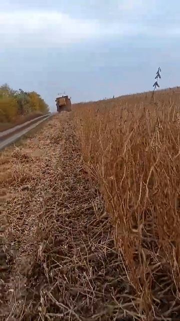 уборка сои ВС 00 смотреть онлайн