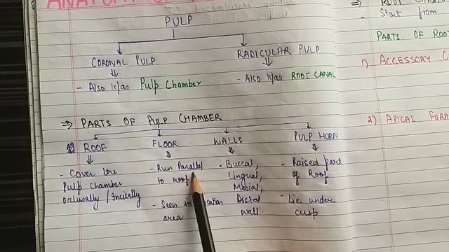 ANATOMY OF PULP ( WHAT IS PULP CHAMBER, PULP SPACE, PULP HORN ,ROOT CANAL) смотреть онлайн