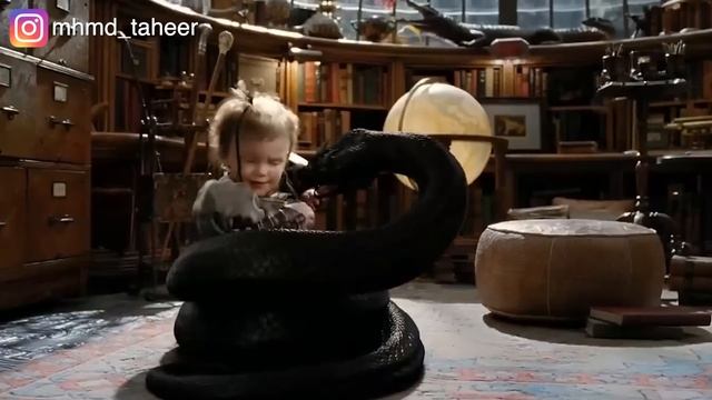 طفلين أذكية بيعملوا خطة غريبة للانتقام من عمهم اللي بيحاول يقتلهم هما وعيلتهم! Lemony Snicket смотреть онлайн