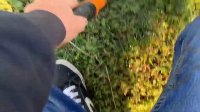 Metal Detecting SideWalks|Nokta Makro Simplex Metal Detectors|Metal Detecting Parks смотреть онлайн