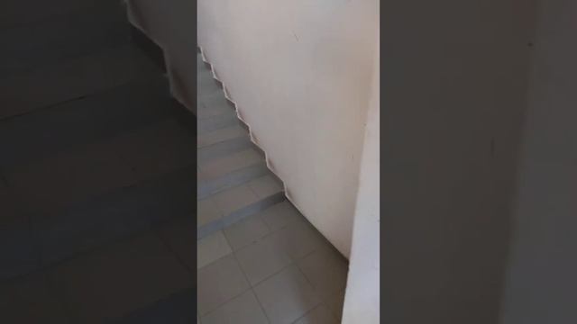 гоголя 77, на авито номер 2344712956 смотреть онлайн