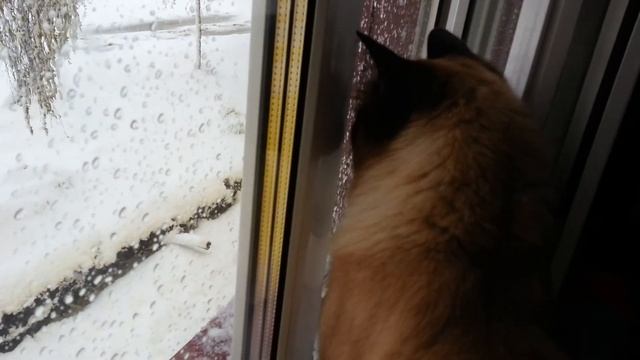 Вот такое хреновое лето. смотреть онлайн