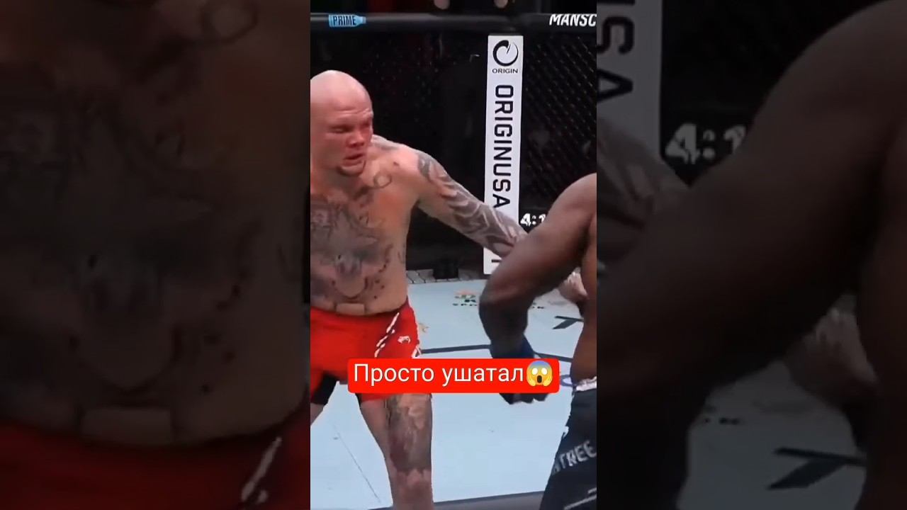 Реальные нокауты в UFC №4 смотреть онлайн