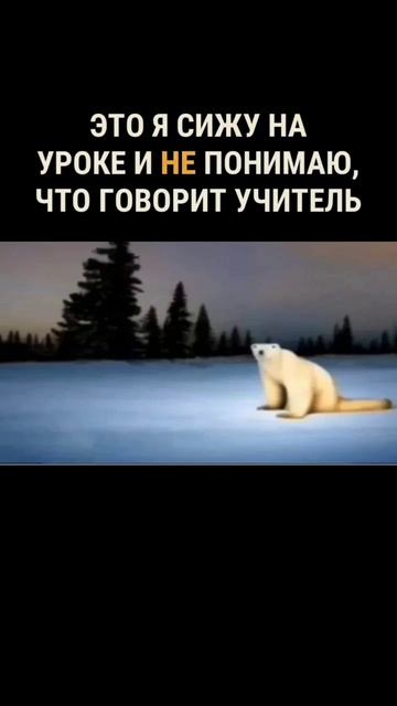 МЕМ 2026 (но это мой мем) #MEM2026 #meme смотреть онлайн