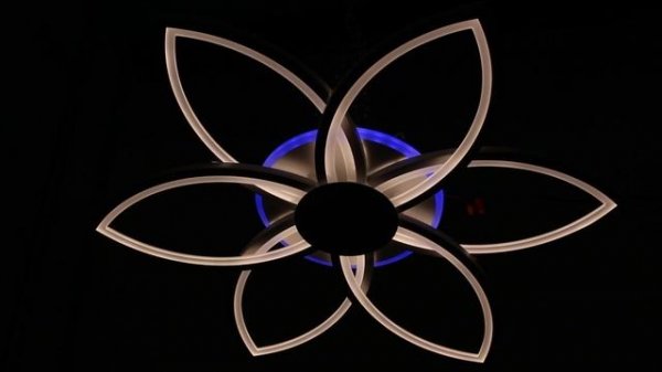 09877-0.3-06B WH RGB