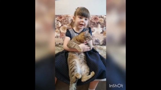 Кошки и собаки май смотреть онлайн