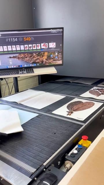 We have digitised nearly one million Australian plant specimens! смотреть онлайн