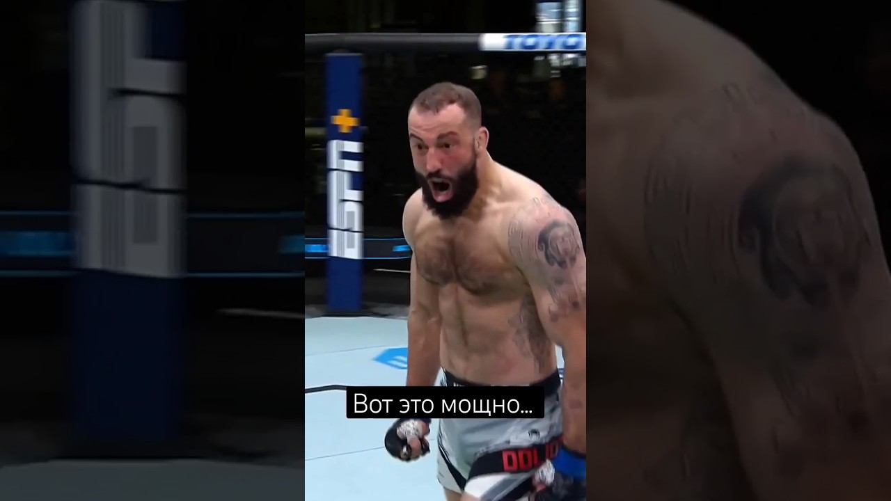 Реальные нокауты в UFC №20 смотреть онлайн