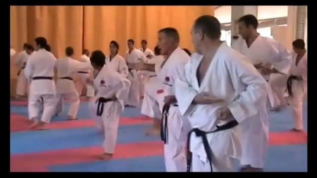 7 Мигель Гомес Накарино (каратэ). Бункай, кумитэ и ката ''Бассай Сё''