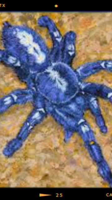 4 ноября 2022 г. смотреть онлайн