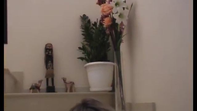 Russian songs by Irina.flv смотреть онлайн