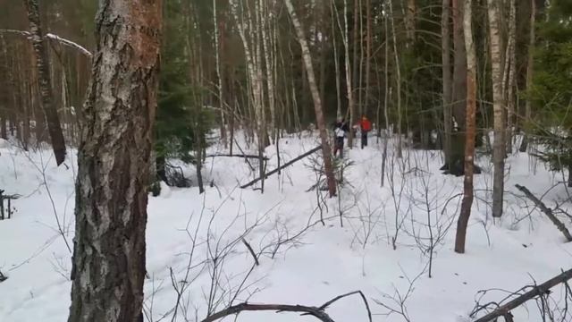 ЛНО2018 смотреть онлайн