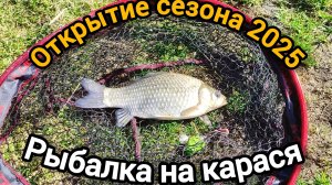 Открытие сезона 2025! Рыбалка на донки, ловлю карасей по холодной воде Весна 2025 #рыбалка #fishing