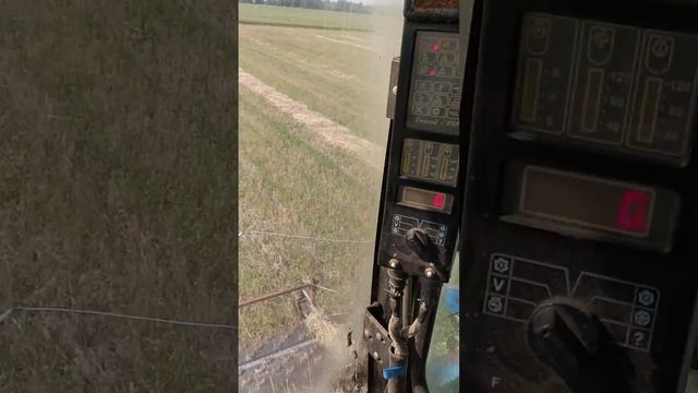 30 декабря 2023 г. смотреть онлайн