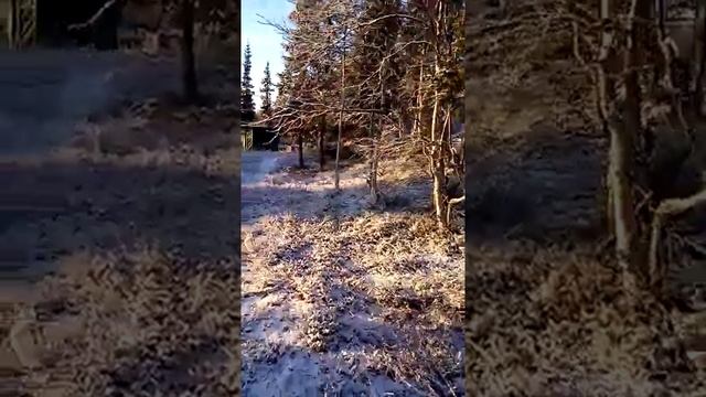 Чесовня смотреть онлайн