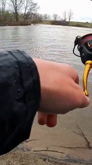 #fishing #catfish #penn #river #ryobi #nature смотреть онлайн