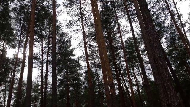 16 октября 2020 г. смотреть онлайн