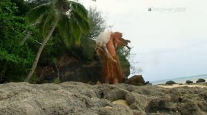 Выживание без купюр Эд Стэффорд // Marooned with Ed Stafford • Голое выживание 1 сезон  3 серия