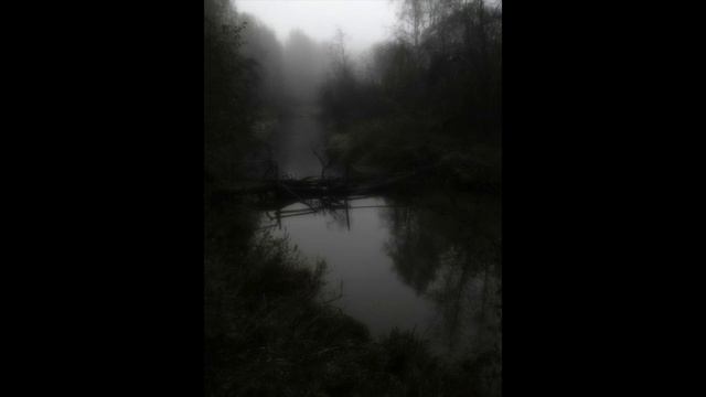 [free] izaya tiji + ambient type beat clever смотреть онлайн