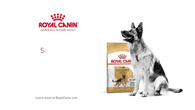 Royal Canin German Shepherd Adult | For Complete Care And Nourishment смотреть онлайн