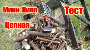 Пила аккумуляторная как пилит ?