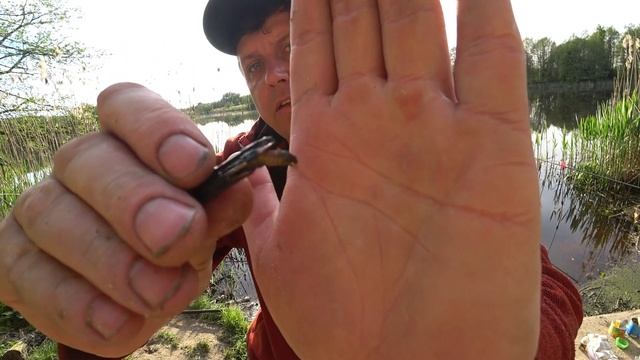 1 Рыбалка с ночевкой на реке 2024. Эта наживка Поражает. Ловля на фидер и поплавок весной.