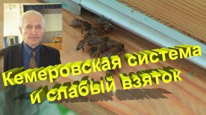 Профессор Кашковский: Секреты работы с малым взятком в кемеровской системе