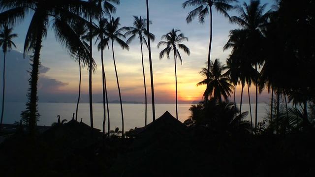 View from Lipa Bay Resort смотреть онлайн