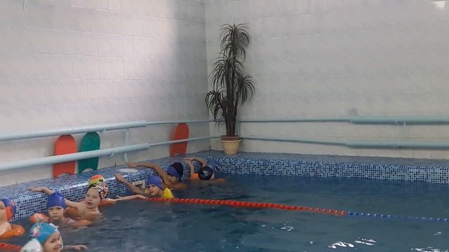 Открытое занятие по плаванию. 2017 г. смотреть онлайн