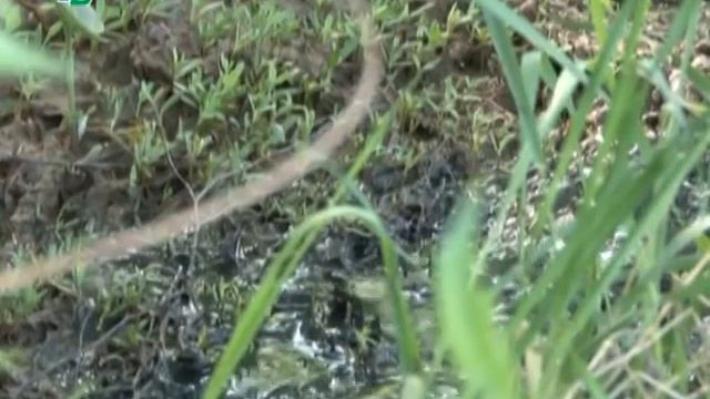 Уборка на свалке смотреть онлайн