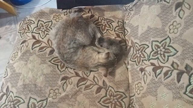 взаимовыручка.... смотреть онлайн