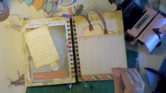 Video #89 Golden Book Mini Album