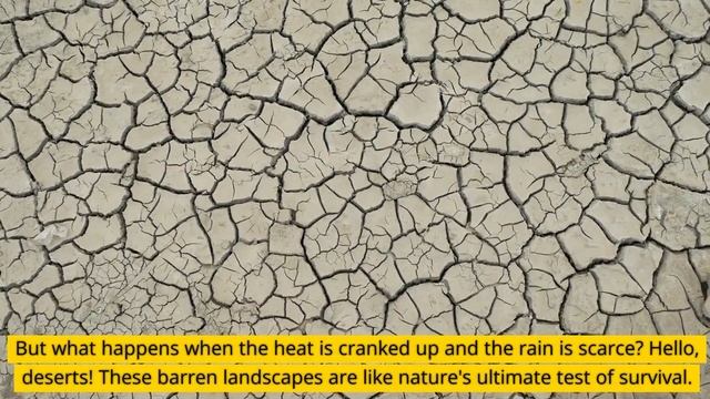 Introduction To Biomes Of The World смотреть онлайн