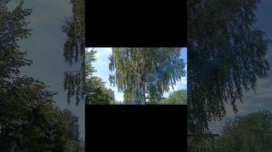 АЛЕКСАНДР БАРДИН.,, ЗА ОКОЛИЦЕЙ".