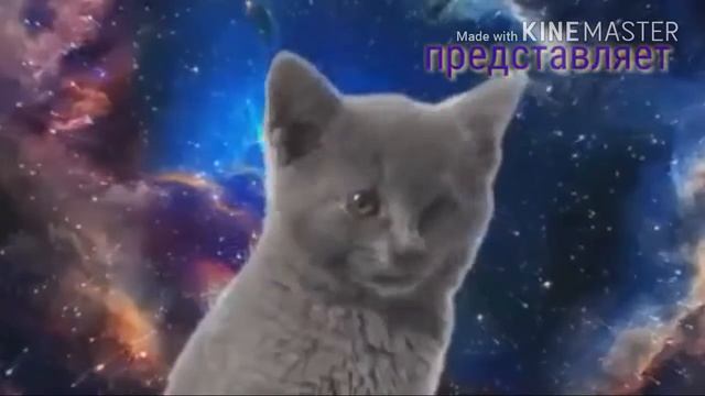 КоСМиЧеСКая пЕчЕнькА ПРЕДСТАВЛЯЕТ