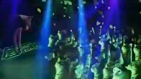 дискотека кошек