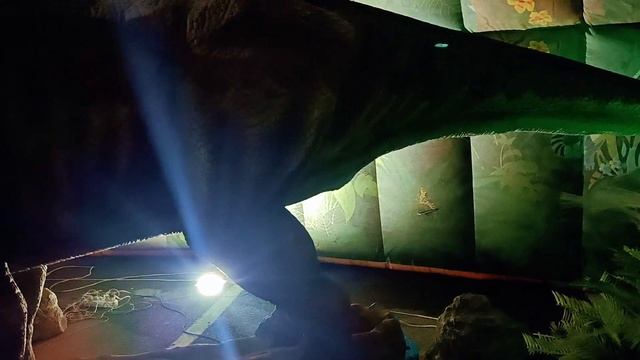 нашествие динозавров🐾😯в нашем городе. смотреть онлайн