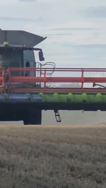 Claas big combine wheat harwester смотреть онлайн