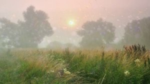 Жанна Бичевская - Туман