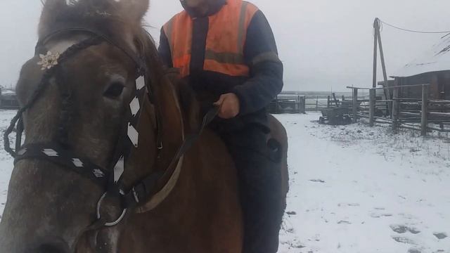 Иван катается на ЛОШАДИ смотреть онлайн