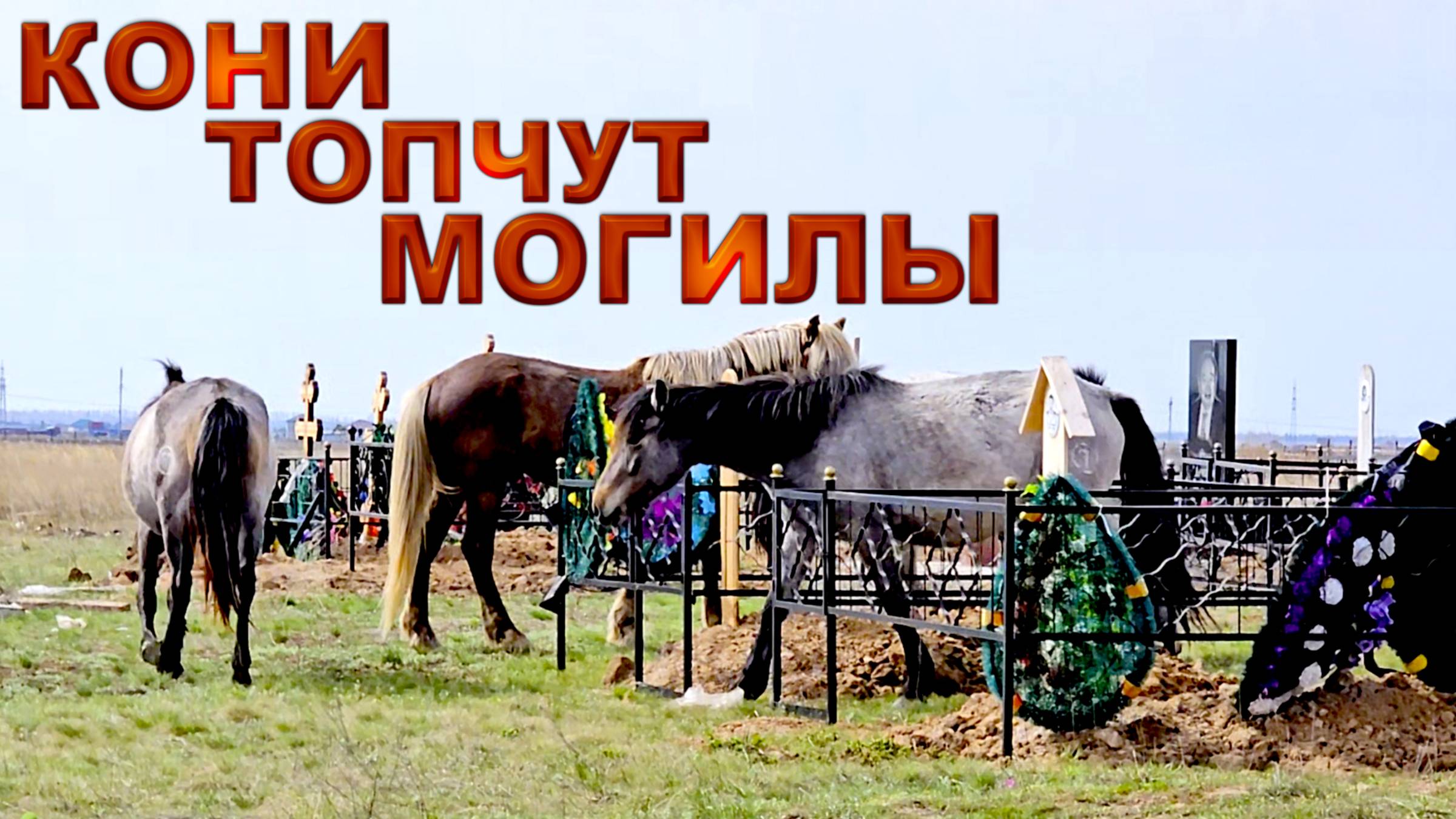 КОНИ ТОПЧУТ МОГИЛЫ. КЛАДБИЩЕ НОВОЕ 2025. АСТАНА смотреть онлайн