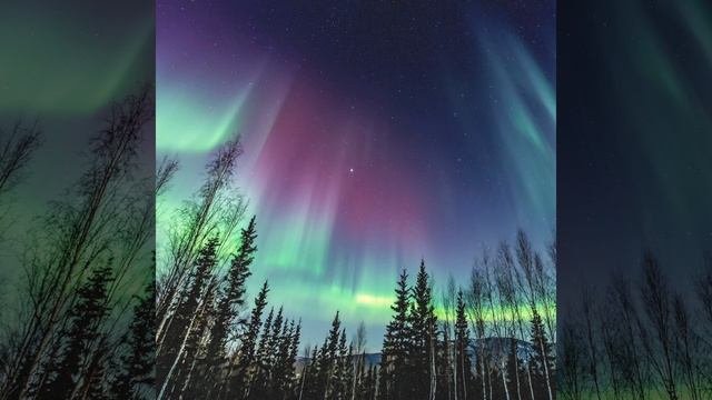 AURORA смотреть онлайн