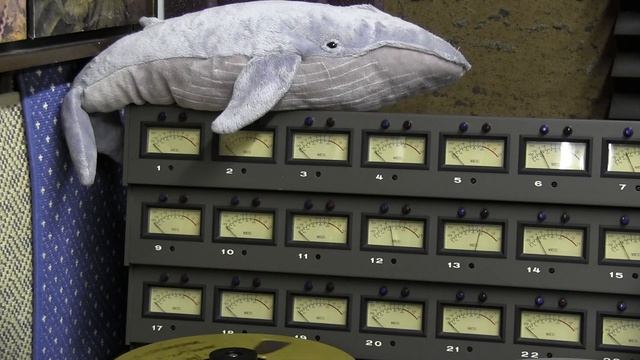 Felini Calypso short 2020 12 03 Gh sf mf dua + bass 018 first pass смотреть онлайн