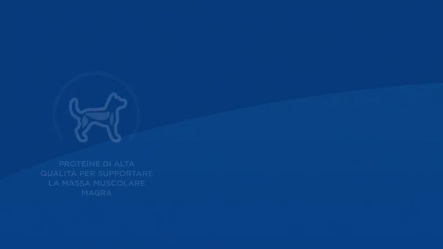 Hill's Science Plan Small & Mini Adult Alimento per Cani con Agnello e Riso смотреть онлайн